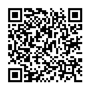 一条条的天剑之锁呈现四十五度角深深扎入了地表二维码生成