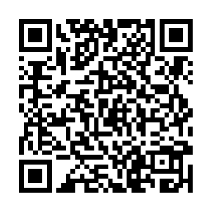一条条看起来很疲惫的巨龙来到了那个封印的空间前二维码生成