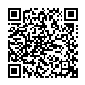 一条浑身闪着磷光的黑龙从桥面上翻滚的河水里直接一跃而起二维码生成