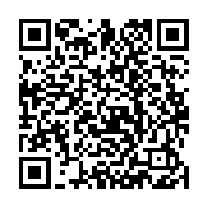 一条约莫只有几丈长短的金龙正在不断地吞噬着这些能量二维码生成