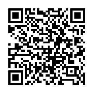 一条胳膊粗细的鲜红色细鳞甲的巨蛇迅速的游离了过来二维码生成