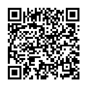 一条至少打破了美国纪录的大鱼出现在了大家的眼前二维码生成