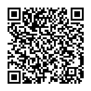 一条长达五百多米的通体漆黑的海蟒正在不断的抽打着下方的问道宗的护宗大阵二维码生成