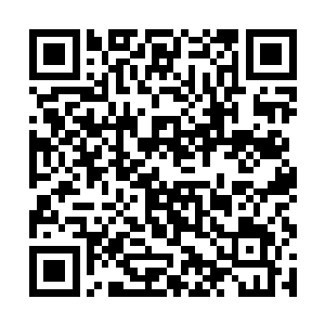 一条长长的蛇芯就可以拦住李飘雪的宝器幻化的紫鹰二维码生成