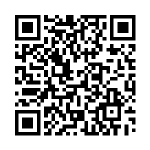 一条鱼几乎就是一分钟不到就有的结果二维码生成