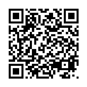 一条龙的地位也比一只蚂蚁的地位高二维码生成