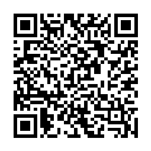 一来东城区统领府见到苗毅的徐堂然便忍不住急问二维码生成