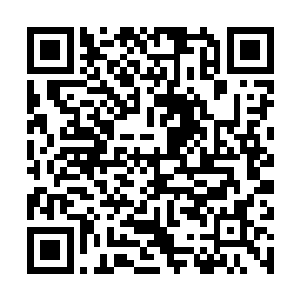 一来是因为自己没有到6就算逮到一时间也杀不死二维码生成