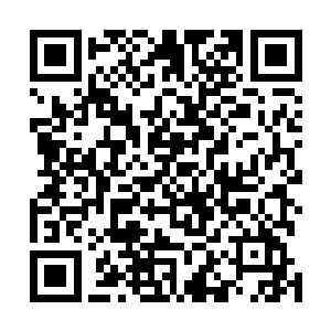 一来是因为那存放着赫拉迪姆之笛的塔拉夏古墓禁制太强二维码生成