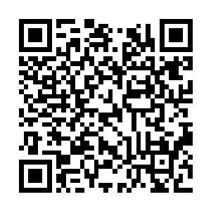一来是看在沈迟和骆明的交情上她也不能见死不救二维码生成