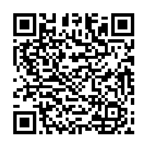 一来是要替我家父亲送一封书信给虎殒岭上的黑山君前辈二维码生成