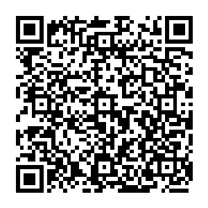 一来这些水系至尊不可能白白在亚特兰蒂斯古城之外留守着……他们的实力虽然强大二维码生成