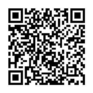 一来龙龟陨落的数量要远远超过恐龙异形陨落的数量二维码生成