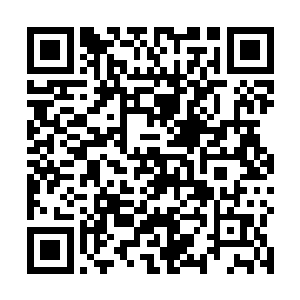 一杯侯鸽因人类肆意捕杀及破坏环境而绝迹的典型之一二维码生成