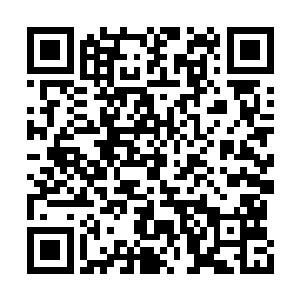 一枚火红色的珠子从它们的身体当中掉落了出来二维码生成