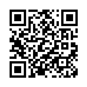 一架大型商务机如同小鸟一般二维码生成