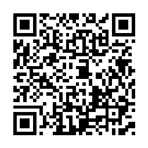 一架机甲也要花两三个小时才能清洁得这样干净二维码生成