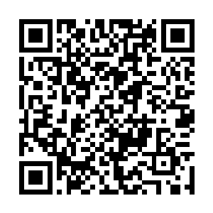 一架来自澳大利亚的航班缓缓地降落在机场跑道上二维码生成