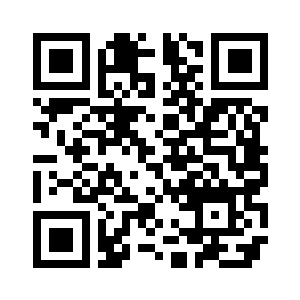 一架银灰色飞机出现在视线里二维码生成