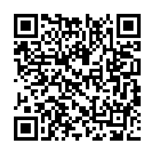 一柄足有两米来长的巨剑又立即在他身前凝聚而成二维码生成