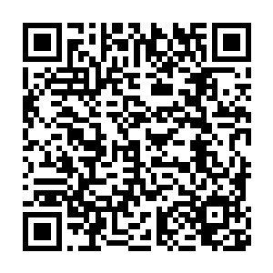 一柄释放着中品宝器光芒的长剑狠狠地撞击在双头鹰的一颗头颅上二维码生成