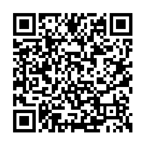 一株兰花上结了上百朵的话根本就是一个奇迹了二维码生成