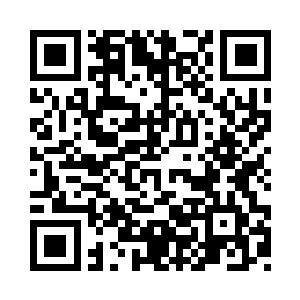 一株姹紫嫣红的紫薇在窗外探出花枝二维码生成