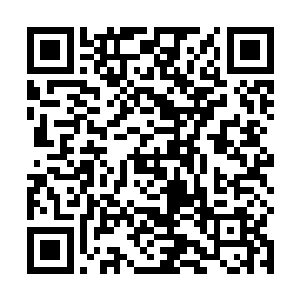 一株尺许长的星华仙草被他从苗毅的储物戒中拉了出来二维码生成