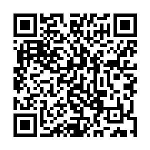 一样有人折腾你……你以为我老谢这些年在文坛是白混的二维码生成