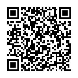 一样有机会杀死比自己更高级无数倍的智慧生命二维码生成