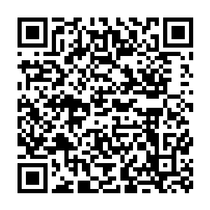 一样样天材地宝也是仿佛垃圾一般被龙傲天从逍遥神戒中搞了出来二维码生成