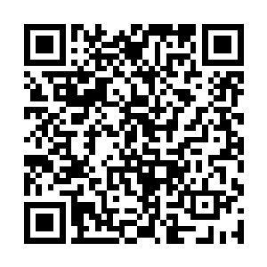 一根四尺来长的青白色的骨矛在其喉间瞬时凝聚而成二维码生成
