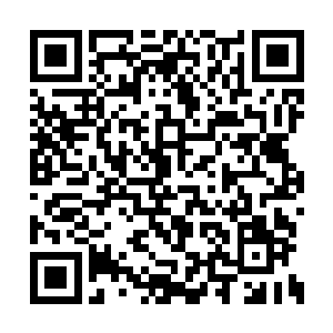 一根巨大的青色圆形底部逐渐出现在他的视线中二维码生成