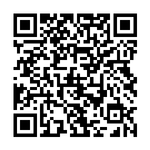 一根红色的如同绳索一样的东西便从他的面前飞过二维码生成