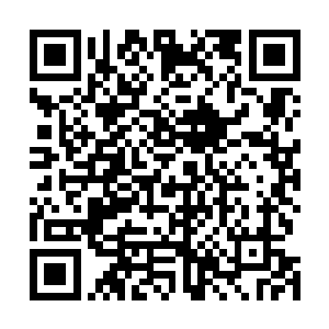一根长满了倒刺的黑色触手却忽然以惊人的速度划破虚空二维码生成