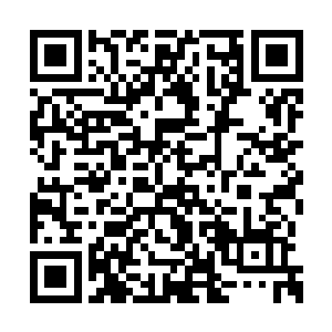 一桌长形圆桌上坐着十一位和他年纪相仿的老人二维码生成