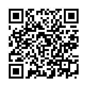 一棵棵突兀伸展的古树落在灵气之中二维码生成