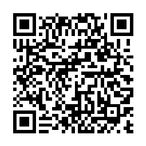 一次一次的击退这些藤蔓的进攻……数量实在是太多了二维码生成