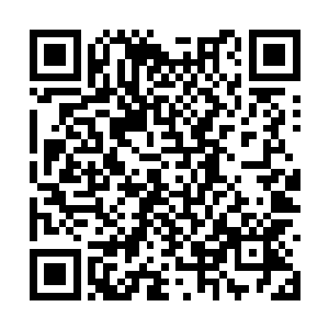 一次一次的殚精竭虑的面对零城的内部竞争的时候二维码生成