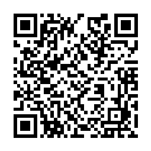 一次向你的这两枚令牌中各自打入五十道神武紫气二维码生成