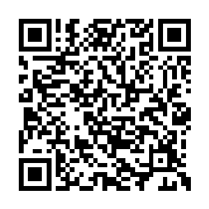 一次性就把小穿沙甲进化为人类需要的能量太大二维码生成