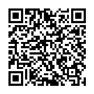 一次比一次认真的观看那段模糊而且断断续续的记忆二维码生成