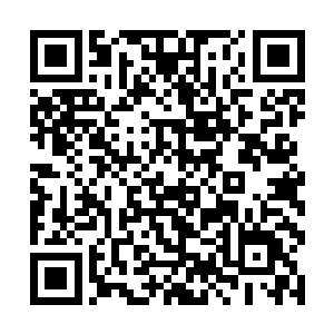 一款低档次的机甲为什么竟然可以爆发出这样的威力二维码生成
