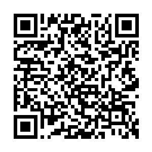 一步一步的慢慢走进了群狼守护的小片丛林之中二维码生成