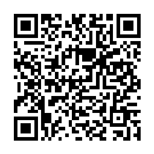 一段记忆涌上梓箐脑海……白珍珍听到外面的争吵二维码生成