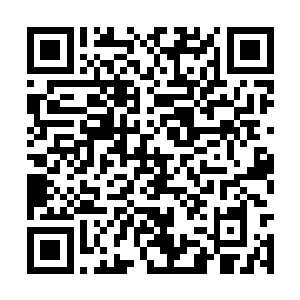 一滴又一滴就像是赶着时间似的在青石地面上汇集二维码生成