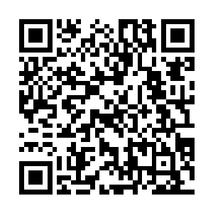 一灿若星辰的双眸看向洛悠悠脚边正在反撒着娇的幽冥二维码生成