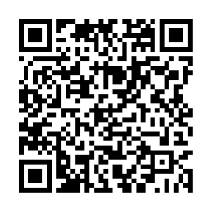 一点一点地往教室退去……不然容易被野狗误伤啊二维码生成