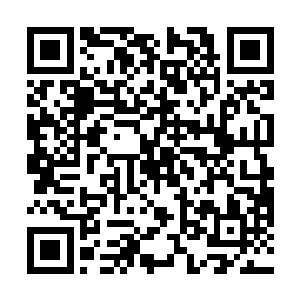 一点也不照顾照顾我们这些奋斗在第一线农民工的想法二维码生成