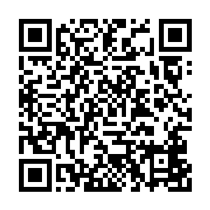 一点儿也不像在王九九面前时的那个顽皮小老头二维码生成